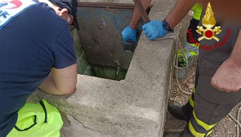 Bambino Morto Nel Pozzo A Palazzolo Acreide Vicino Siracusa I