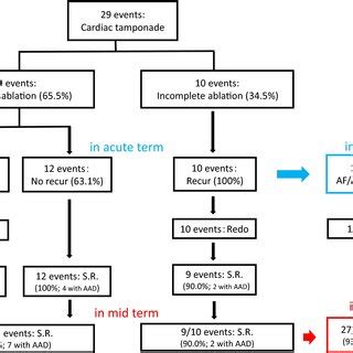 The Results Of The Acute And Midterm Recurrence Of Catheter Ablation In