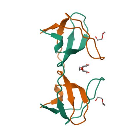 Rcsb Pdb 4omp Crystal Structure Of The Intertwined Dimer Of The C Src Tyrosine Kinase Sh3