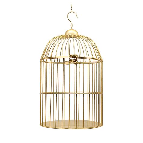 10 Best Decorative Parrotlet Bird Cages For Your Feathered Friend