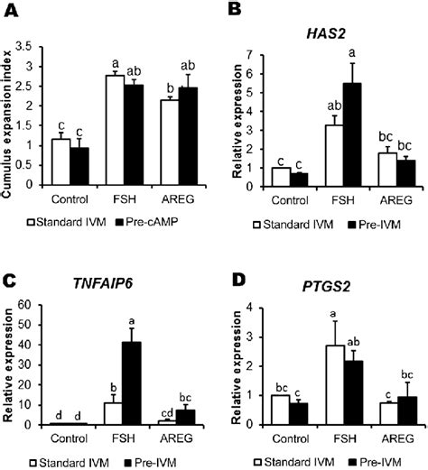 Cumulus Expansion And Related MRNA Gene Expression In FSH Or