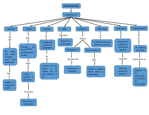 EL Microscopio Mapa Conceptual Medicina Humana Studocu
