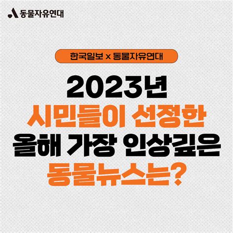 동물자유연대 동물자유연대x한국일보 2023년 올해의 동물뉴스 결과를 발표합니다