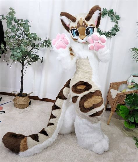 🍁aseol Fursuit 한아설 ️ On Twitter In 2021 Fursuit Furry Fursuit Paws