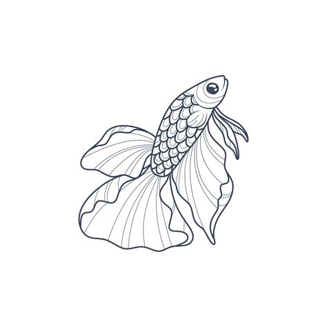 Betta fish line art vector. Betta fish line art Graphic design for the wall decoration 8919440 ...