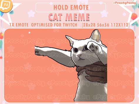 Twitch Emote 1x Holding Cat Cat Meme Twitch Emotes / Streamer / Youtube ...