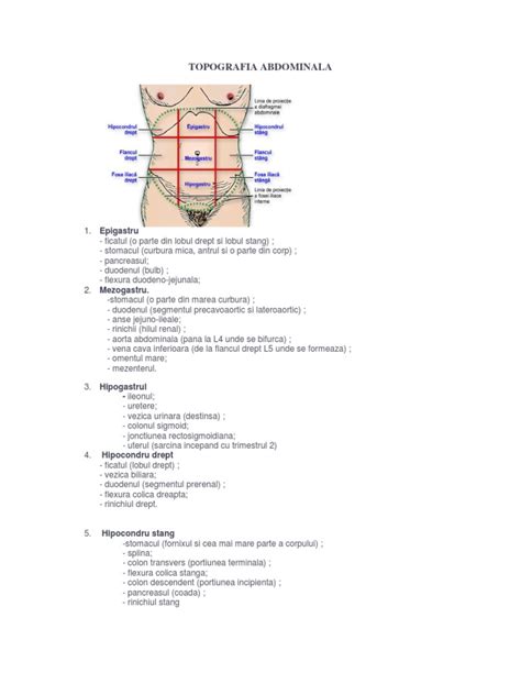 PDF TOPOGRAFIA ABDOMINALA Docx DOKUMEN TIPS