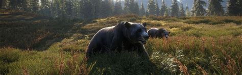 The Hunter: Call of the Wild Review – Patience Is A Virtue