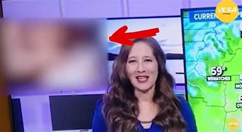 Jornal Exibe Filme Porn No Lugar De Previs O Do Tempo Veja V Deo