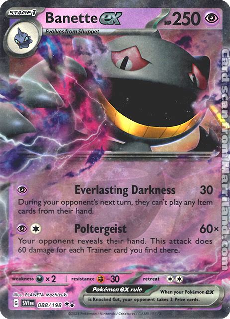 Pokémon TCG Database Marriland