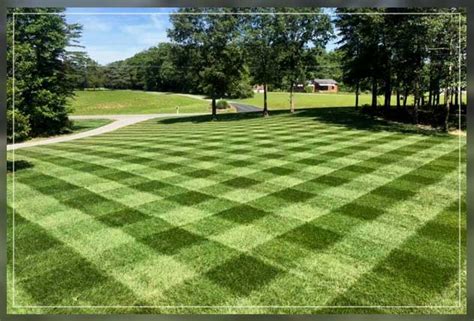 Lawn Striping Methods And Tips Al Ardh Alkhadra