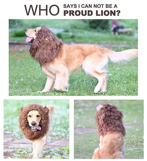 Lion Dog Costume - You Find The Neatest Things