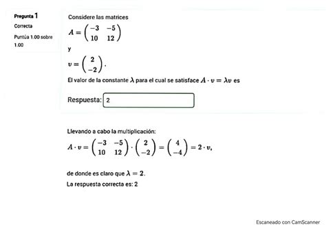 Solution Ejercicios Resueltos Algebra Lineal Temas Reducciones Operaciones Matriciales Y