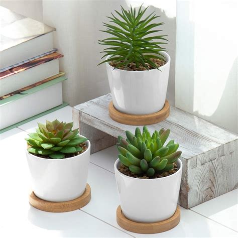 Amazon Mygift Assorted Artificial Succulent Plants Decorative