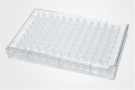Immunology Box at ₹ 250/piece | Rajkot | ID: 23026219073