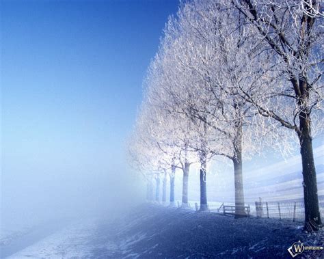 Учебник Rainbow English Бесплатно - filedock