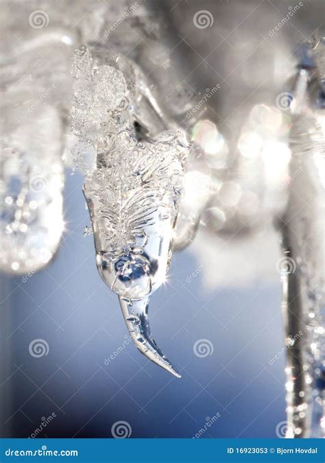 Ice drop stock image. Image of blue, water, freeze, frozen - 16923053