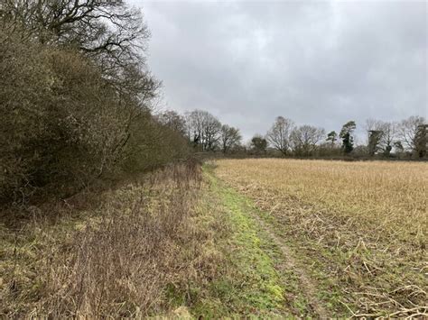 Edge Of Well S Copse Mr Ignavy Cc By Sa 2 0 Geograph Britain And