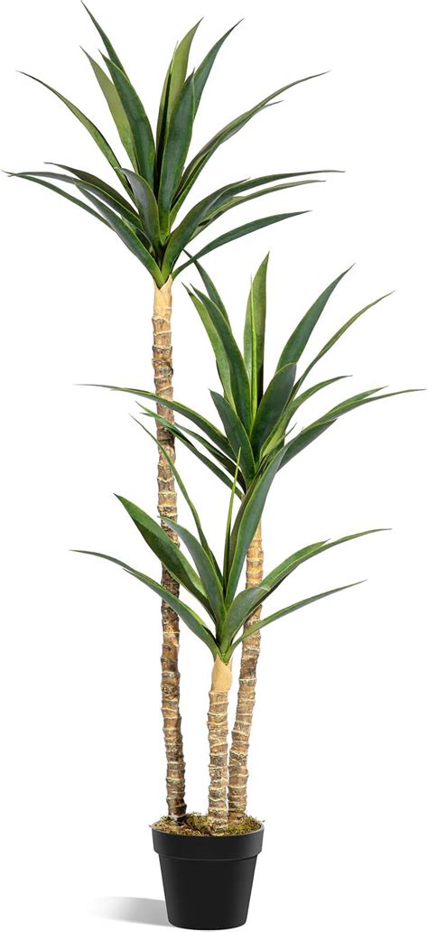 Amazon ProDeco Artificial Yucca Trees 5 4Ft Faux Agave Potted