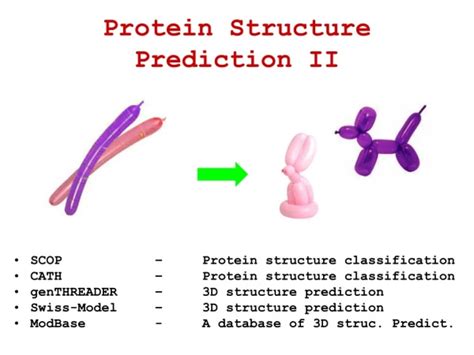 Ppt Protein Structure Classification Powerpoint Presentation Free