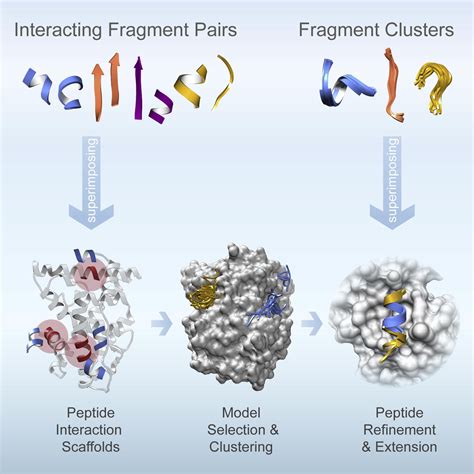 Protein Peptide Complex Prediction Through Fragment Interaction