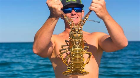 Best Way To Clean Lobster Florida Spiny Lobster Crayfish Youtube