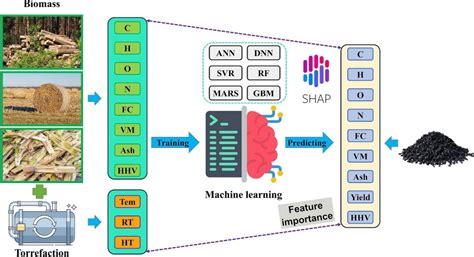 Optimizing Biochar Production Machine Learning Insights Into