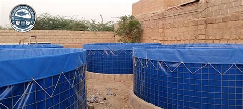 Biofloc Fish Farming In Pakistan With Biofloc Technology Bft