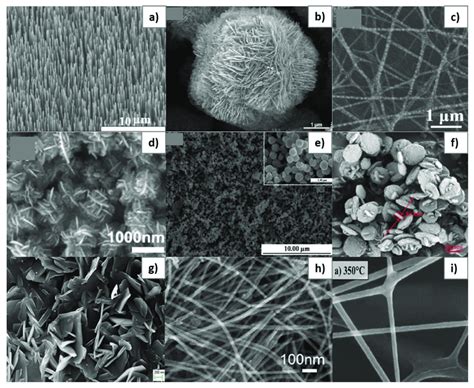 Scanning Electron Microscope SEM Images For Different Types Of