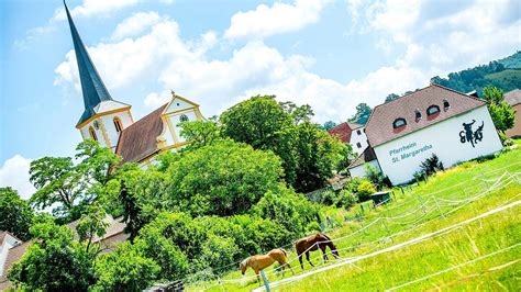 Hackschnitzel Statt Biogas Wichtige Fragen Und Antworten Zu Den