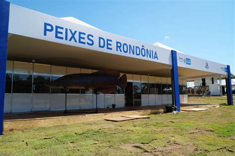 Agricultura Espaço Peixes de Rondônia trará palestras degustação