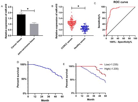 Expression Of MiR 410 In Patients With CCRCC A Expression Of MiR 410