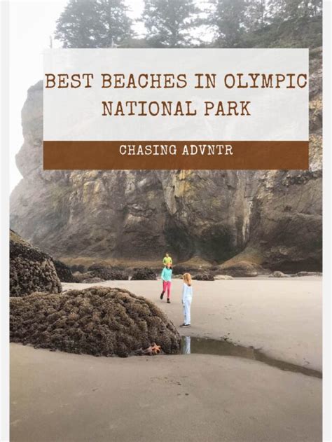 Best Beaches In Olympic National Park Chasing Advntr