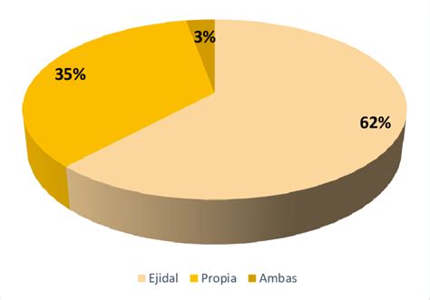 64 Formas De Tenencia De La Tierra Elaboración Propia 2016 Download Scientific Diagram