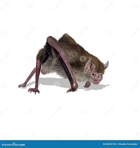 Pipistrello Vampiro Gigante Carnivoro 4