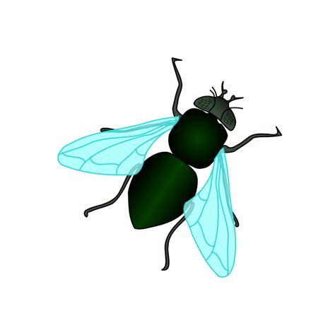 Fly Clip Art Free