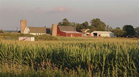 Pastoral Beauty Smithsonian Photo Contest Smithsonian Magazine