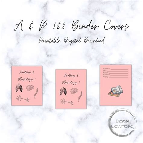 Anatomy Physiology And Printable Binder Cover Printable Digital