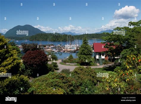 Tofino Bc Vancouver Island British Columbia Canada Scenic View Of