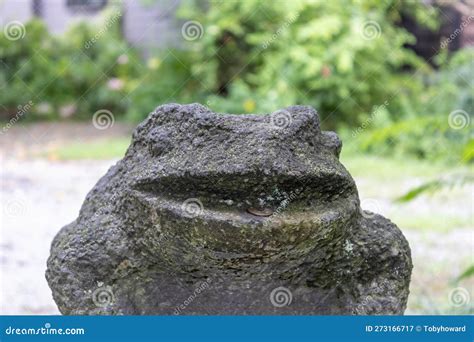 Stone With A Frog Royalty Free Stock Photography CartoonDealer