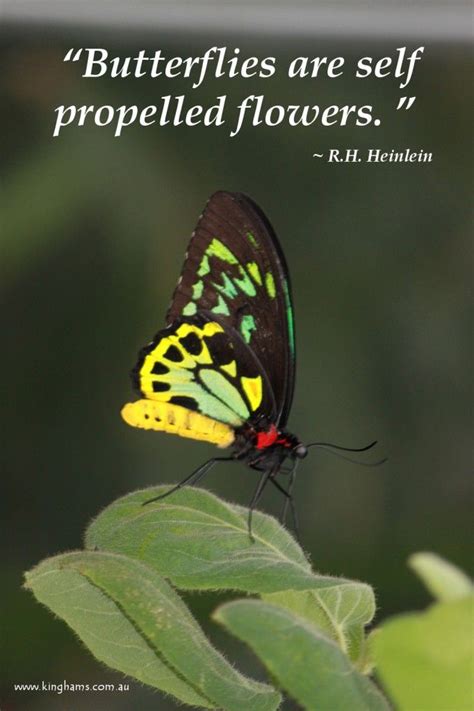 12 Best Gardening Quotations And Poems Images On Pinterest A Quotes