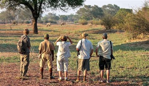 Day Luangwa Discovery Safari Southern Dynasty Safaris