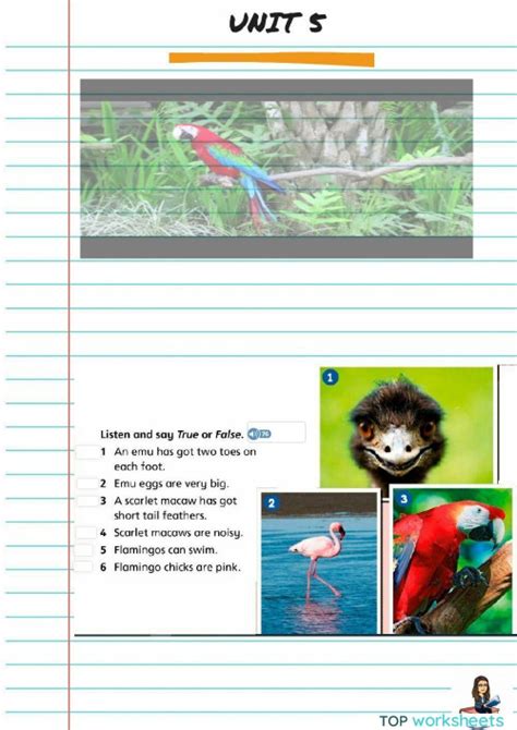 Unit 5 7 Interactive Worksheet Topworksheets