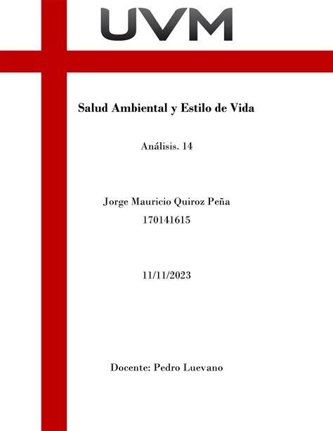 Actividad Salud Salud Ambiental Y Estilo De Vida An Lisis