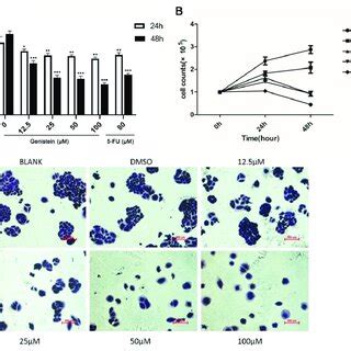 Venn Plot Of Genes Potentially Involved In Genistein S Action Against