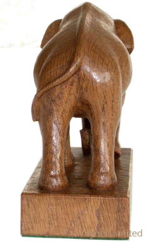 Woodpeckerman Stan Dodds Elephant Ingnet