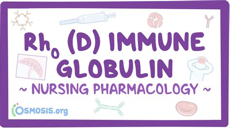 Rho D Immune Globulin Nursing Pharmacology Video Causes Meaning