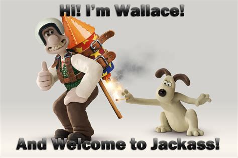 [image 430713] And Welcome To Jackass Know Your Meme