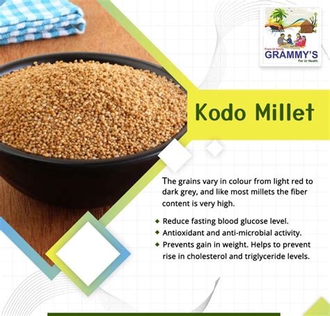 Kodo Millet Rice Aarika Harka Packaging Size Kg Gluten Free At Rs