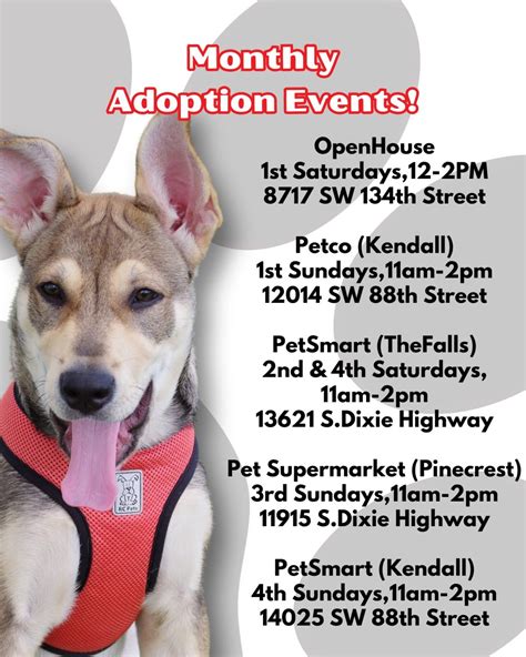 Spay and Neuter Information – PAWS4you Rescue | Miami